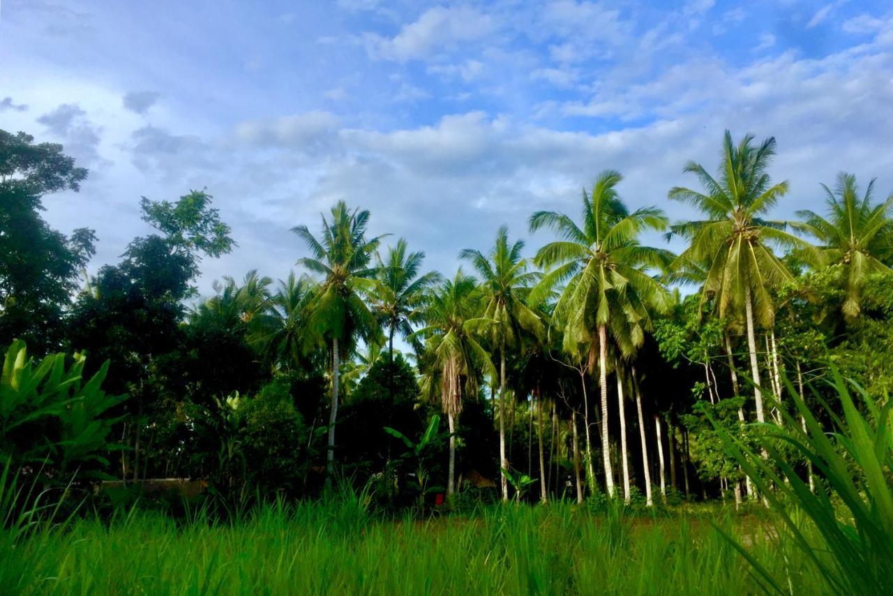 Chemel Homestay Kuta  Bagian luar foto