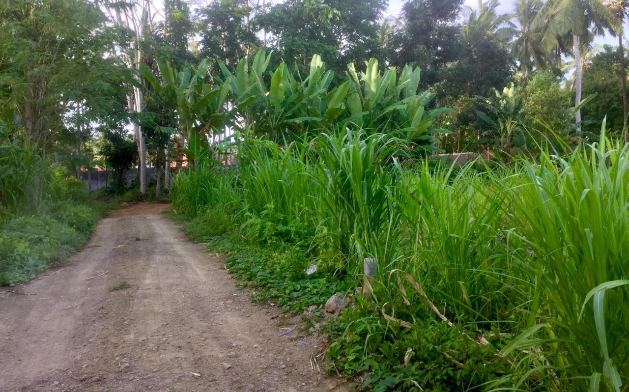 Chemel Homestay Kuta  Bagian luar foto